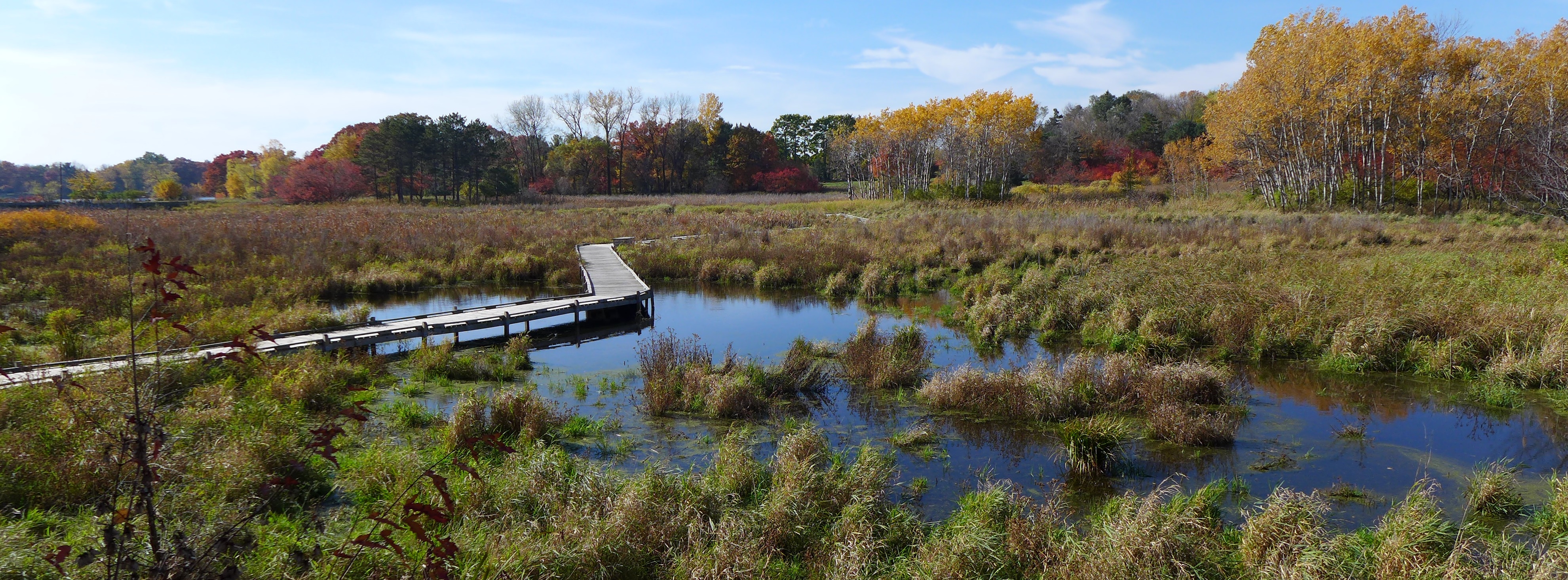 rotary wetland for web.jpg